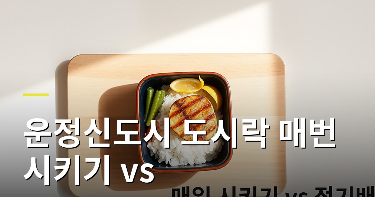 운정신도시 도시락 매번 시키기 vs 정기배송, 시간과 비용으로 따져보니